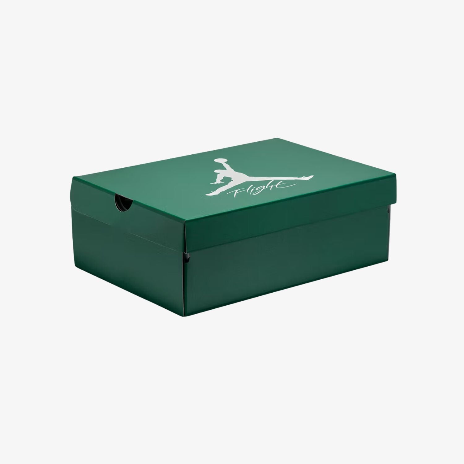 air-jordan-4-retro-oxidized-green-unfazed-8