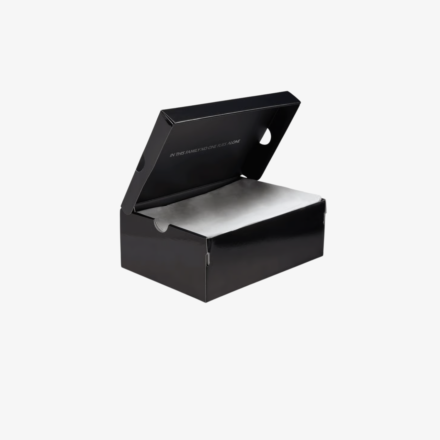 Air Jordan 5 Retro "Wings"