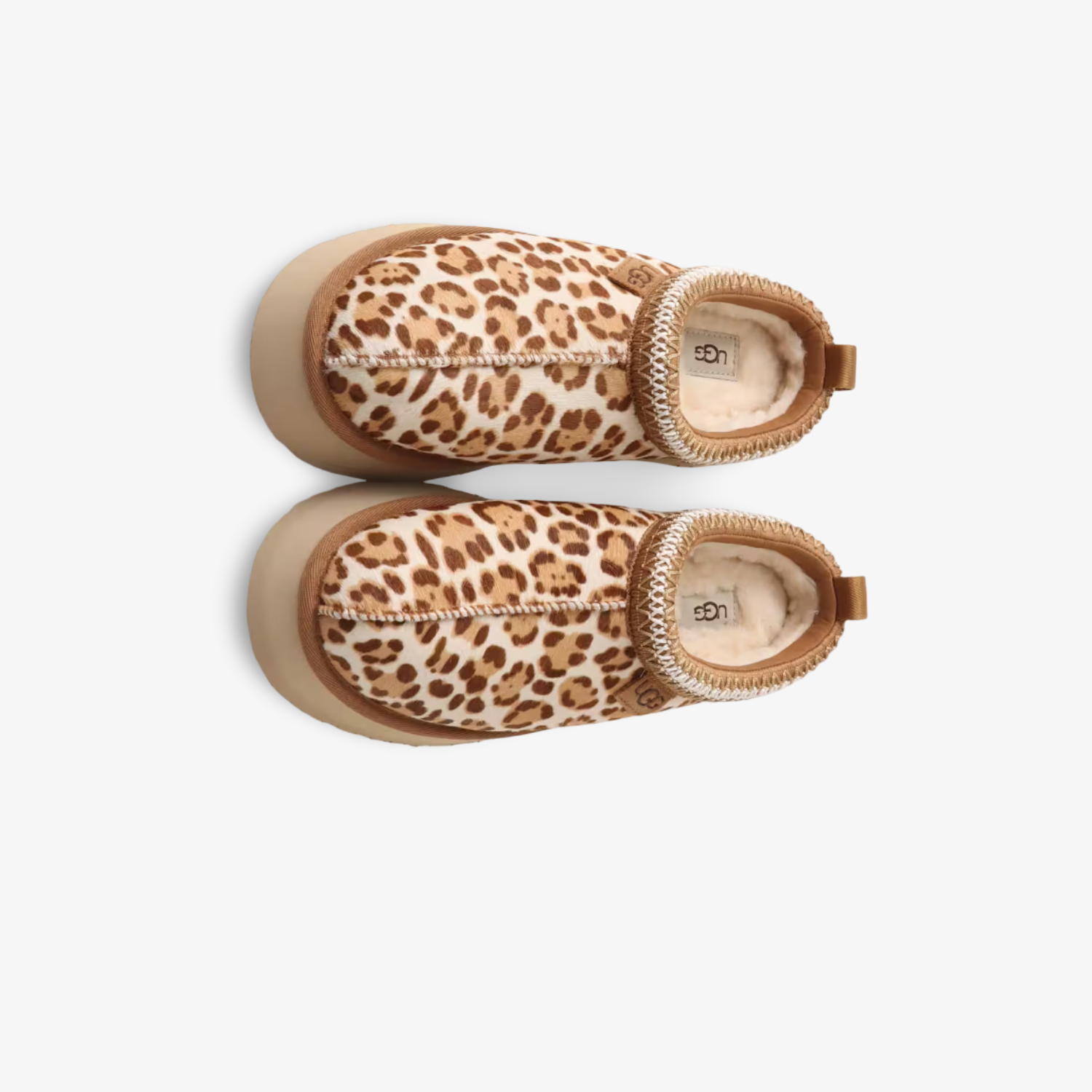 UGG Tazz Slipper "Leopard Jasmine"